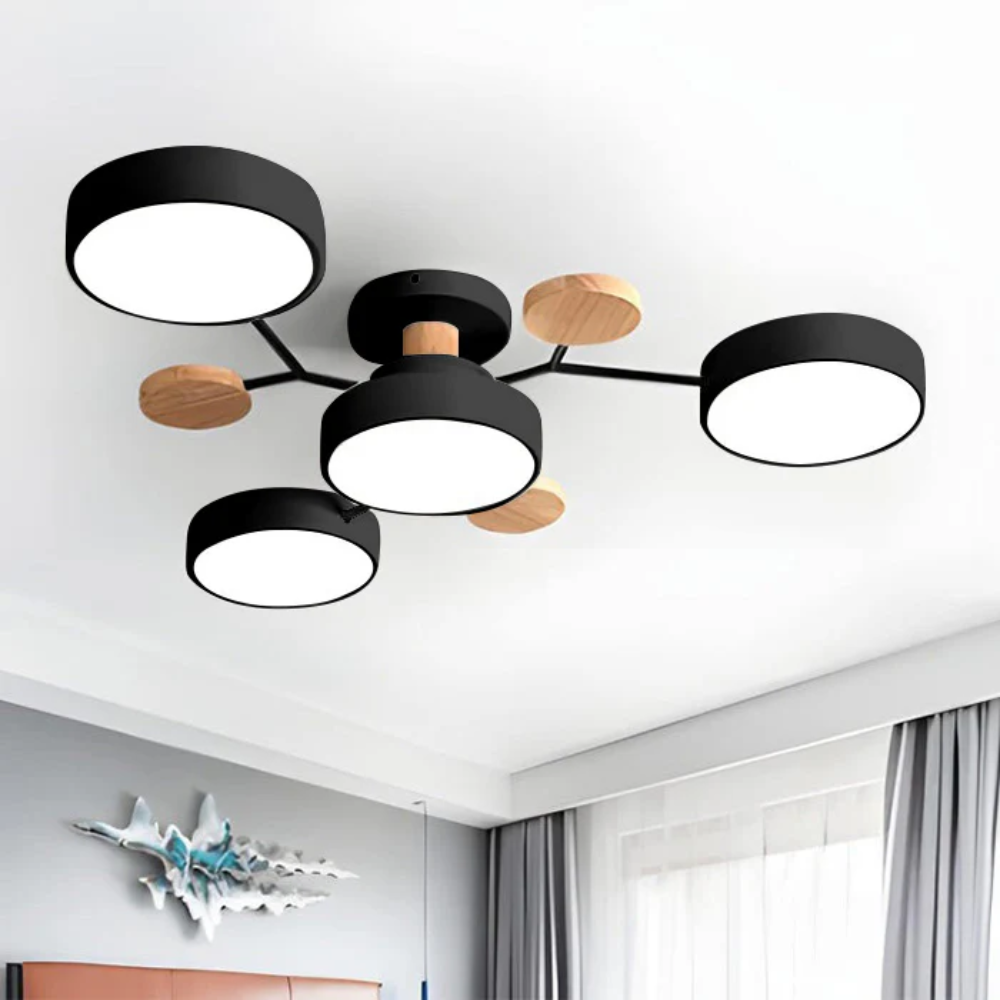 Stylish LED Ceiling Mount Light Fixture