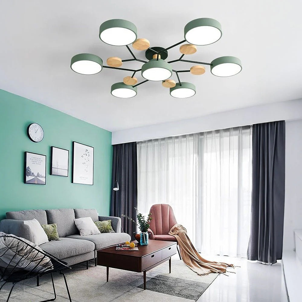 Stylish LED Ceiling Mount Light Fixture