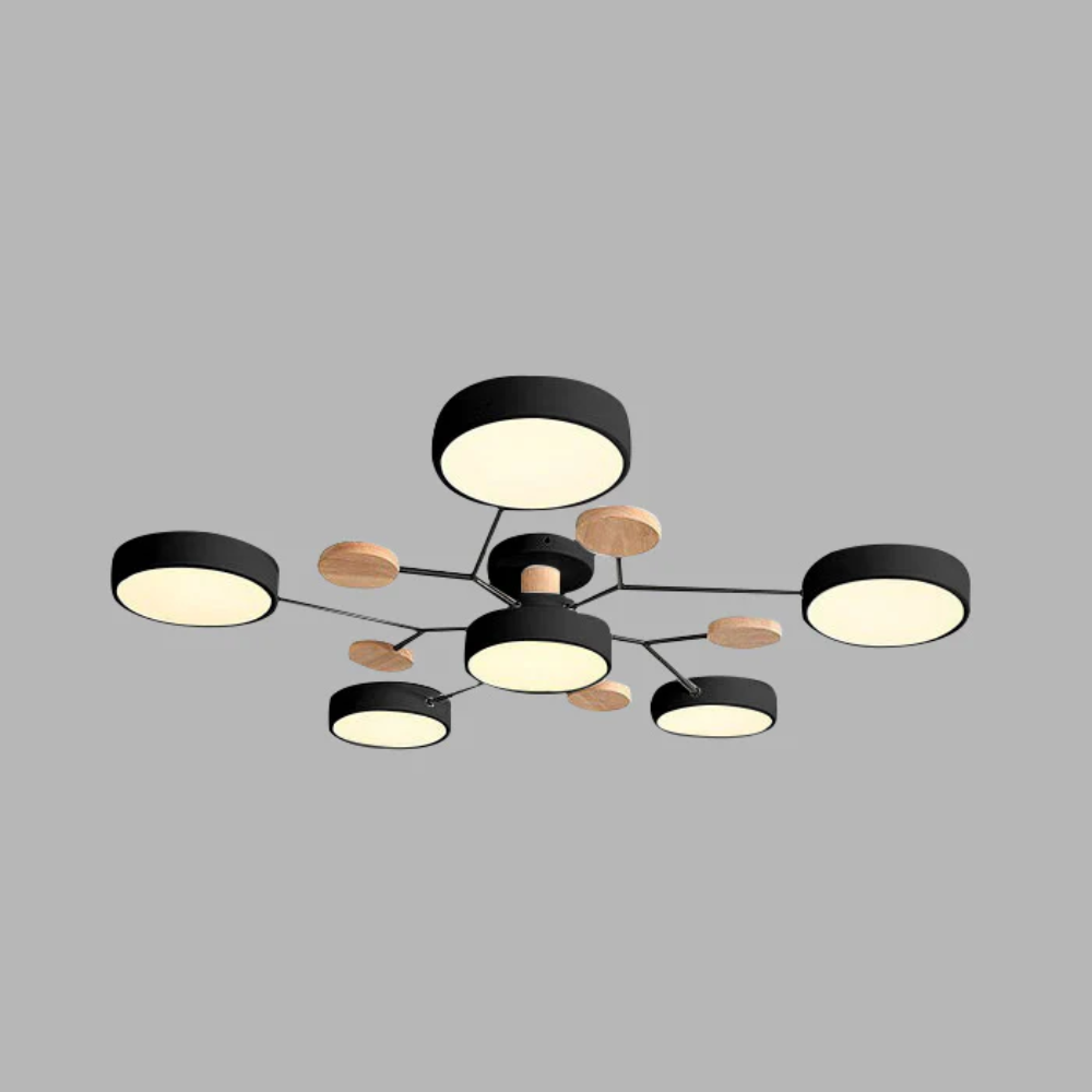 Stylish LED Ceiling Mount Light Fixture