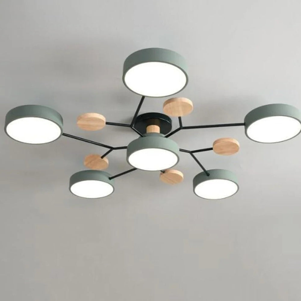 Stylish LED Ceiling Mount Light Fixture