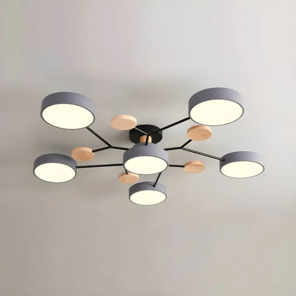 Stylish LED Ceiling Mount Light Fixture