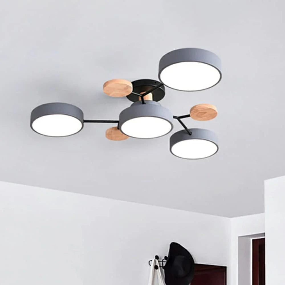 Stylish LED Ceiling Mount Light Fixture