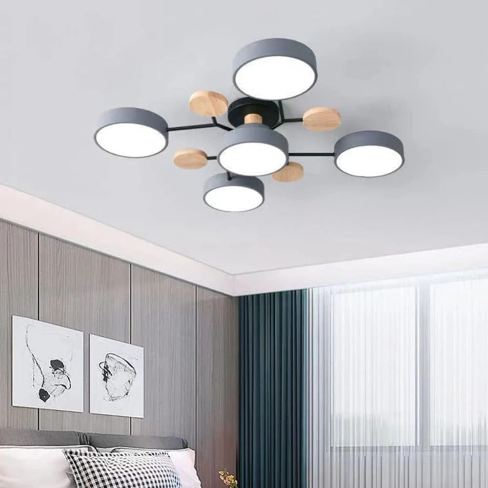 Stylish LED Ceiling Mount Light Fixture