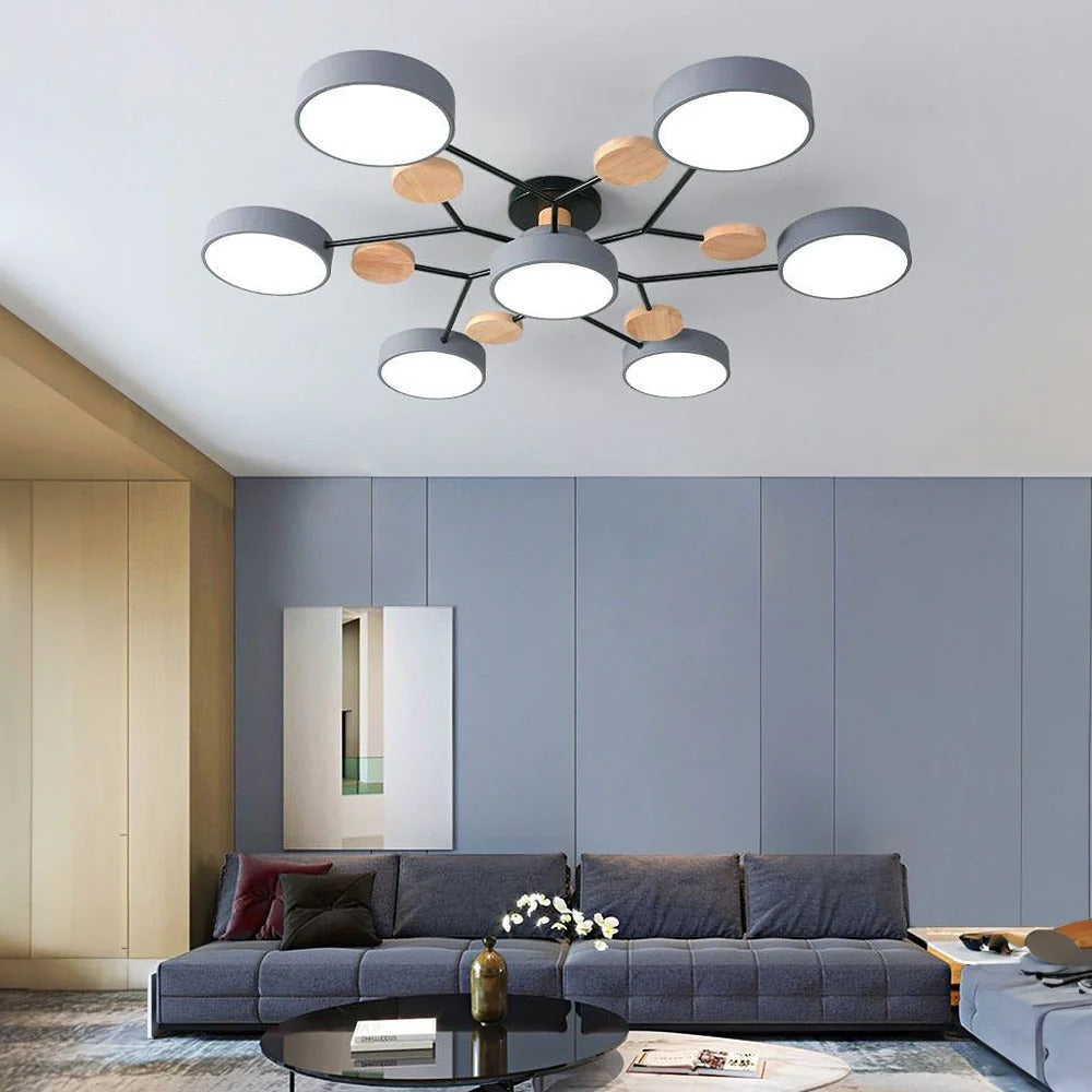Stylish LED Ceiling Mount Light Fixture