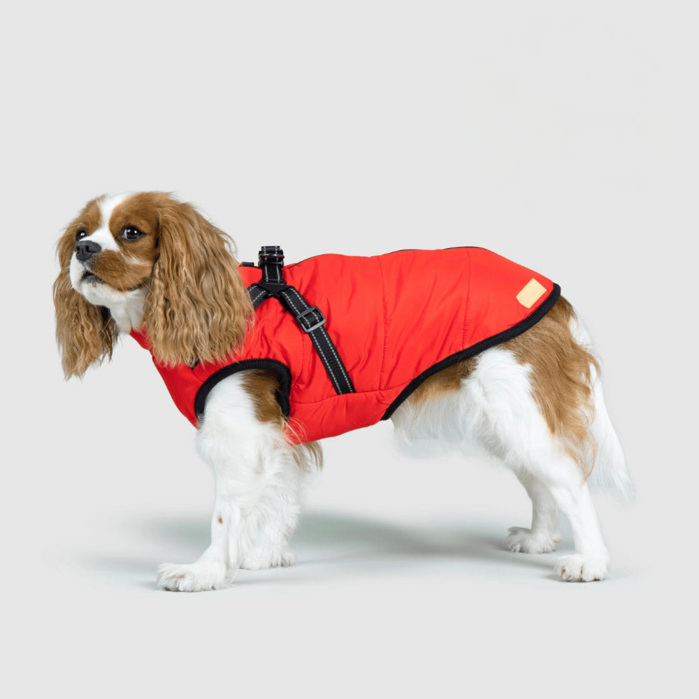 Warm Waterproof Dog Winter Coat - VogeLuxe