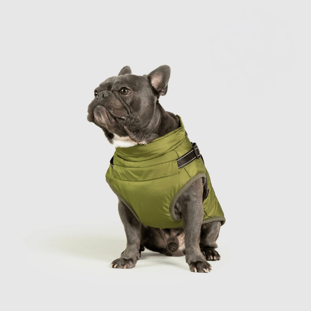 Warm Waterproof Dog Winter Coat