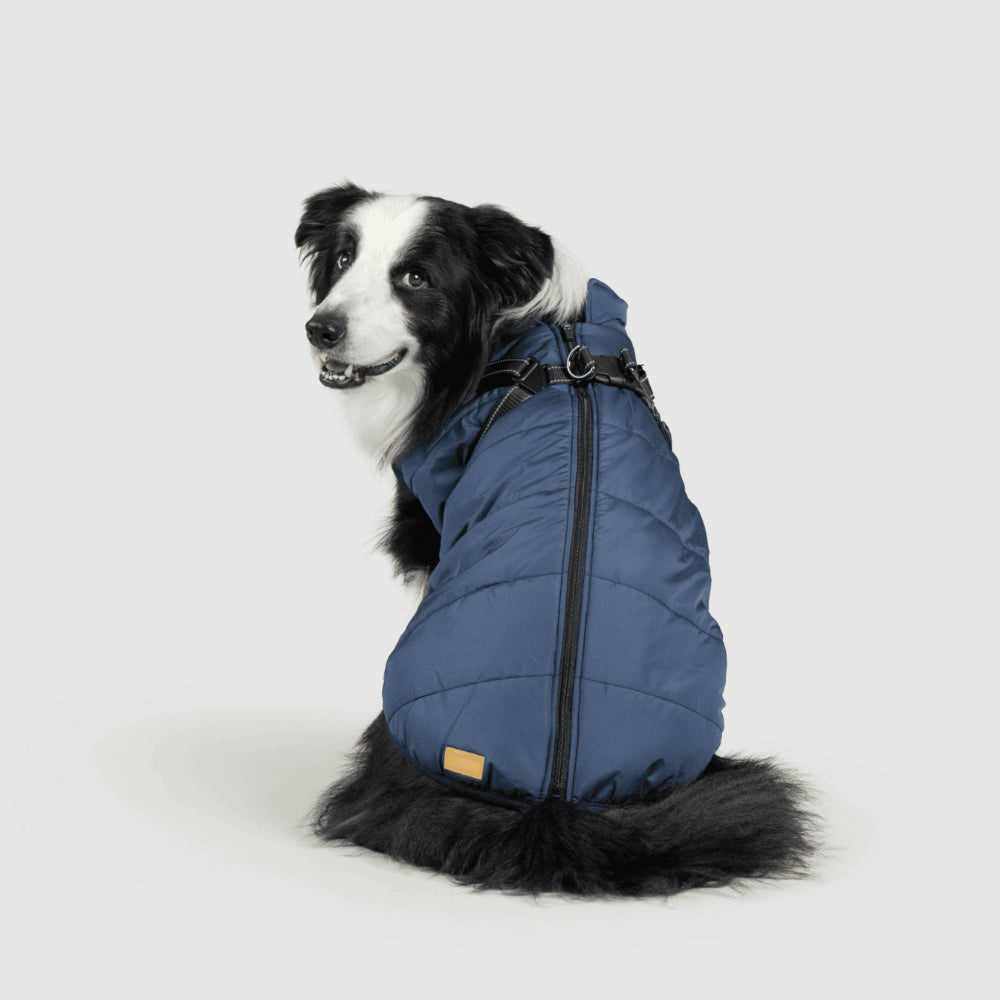 Warm Waterproof Dog Winter Coat