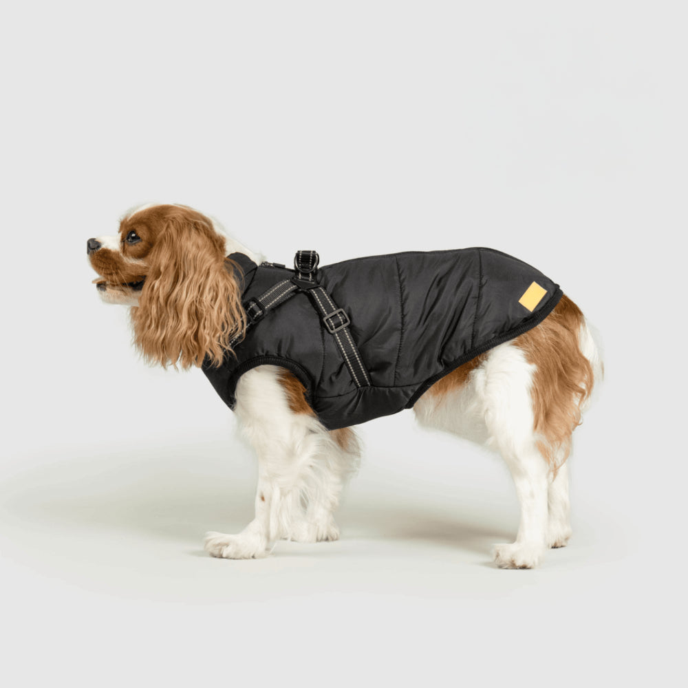 Warm Waterproof Dog Winter Coat