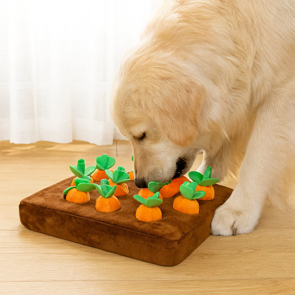 Fun Hide and Seek Dog Mat for Treats - VogeLuxe