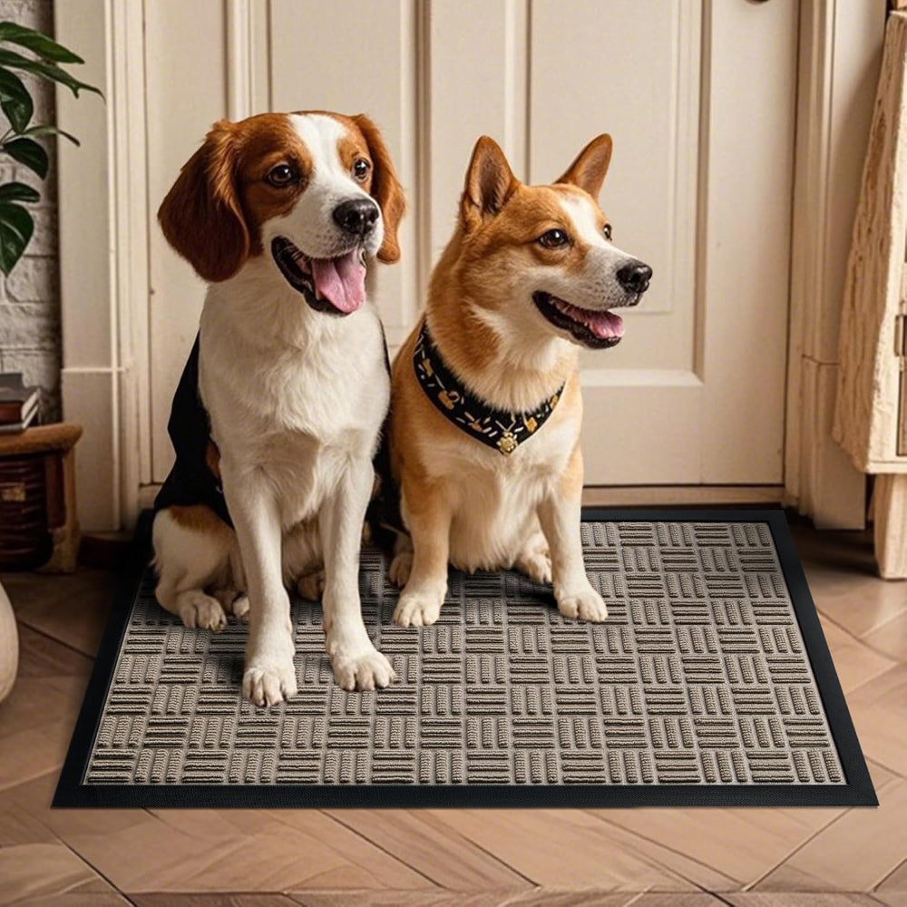 Absorbent Welcome Mat Indoor Dirt Catching Rug - VogeLuxe
