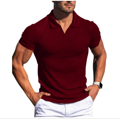 Drake | Classic Casual Men's Polo Shirt