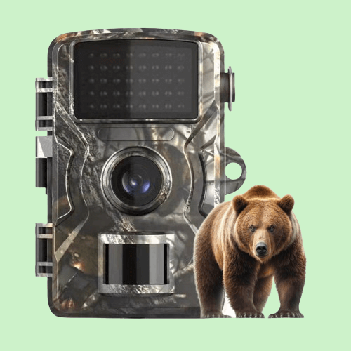 Motion Night Vision Wildlife Trail Camera - VogeLuxe