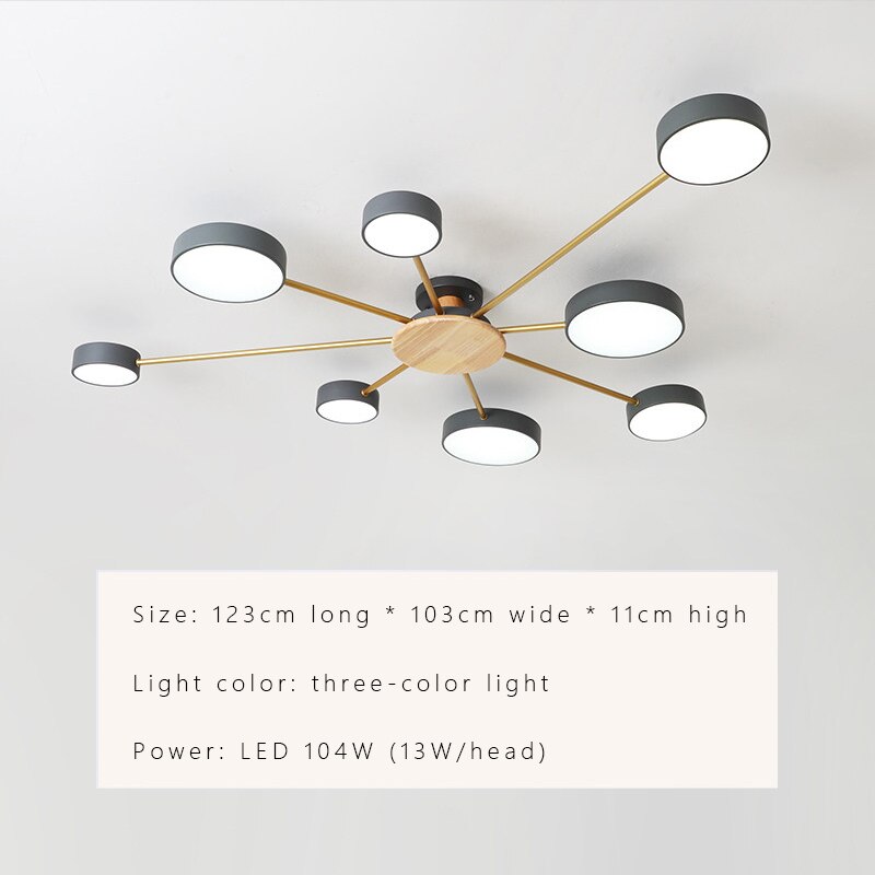 Luxury Nordic LED Ceiling Light