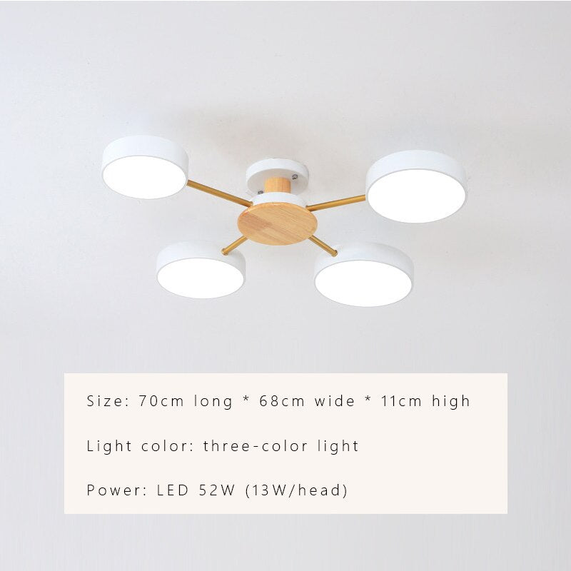 Luxury Nordic LED Ceiling Light