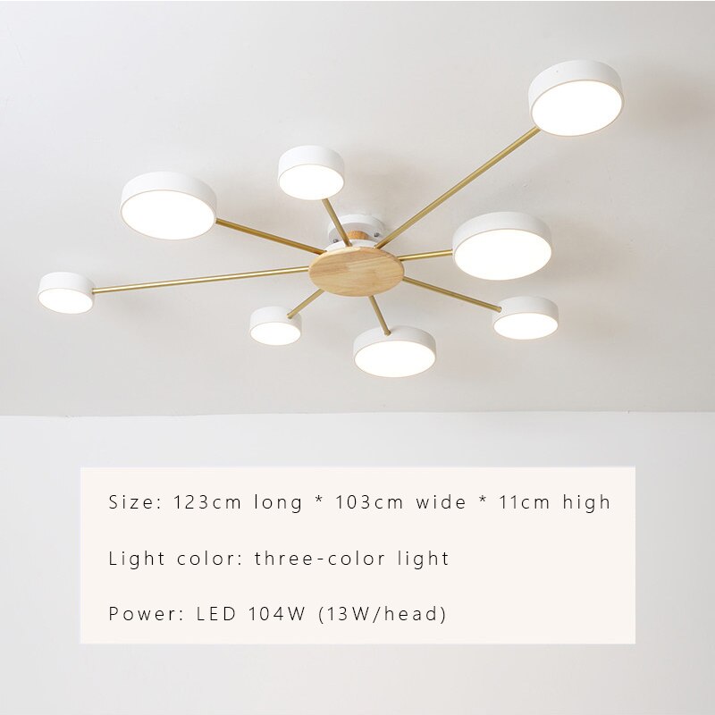 Luxury Nordic LED Ceiling Light