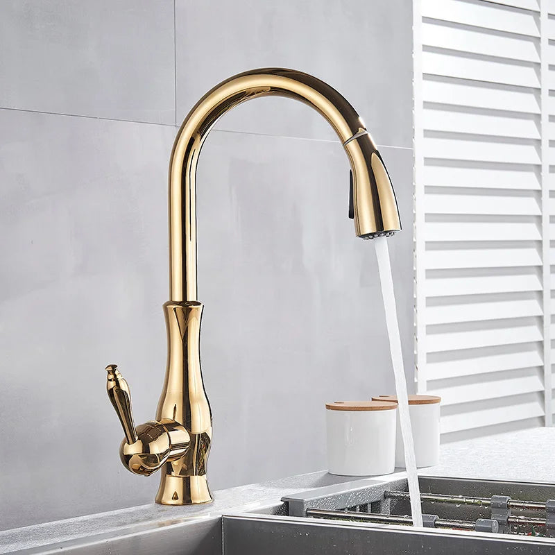 Shine Gold Kitchen Faucet With Pull Out Spray