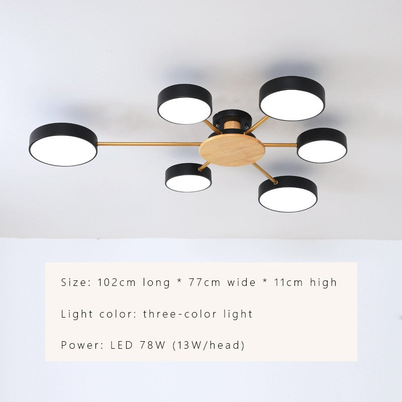 Luxury Nordic LED Ceiling Light