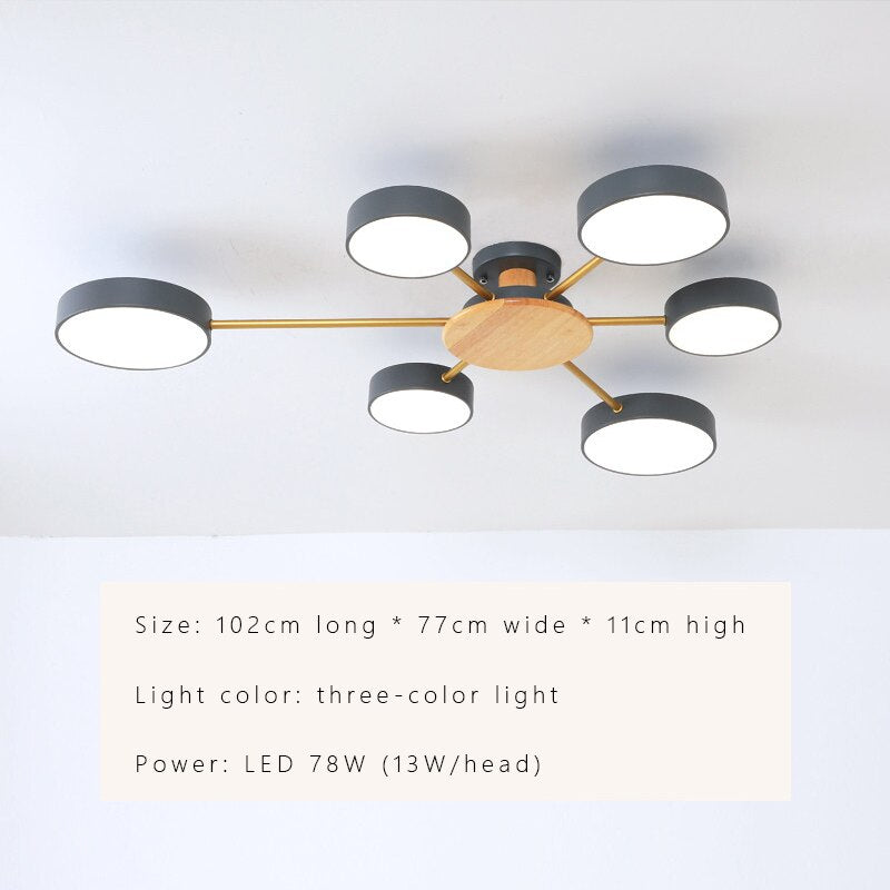 Luxury Nordic LED Ceiling Light