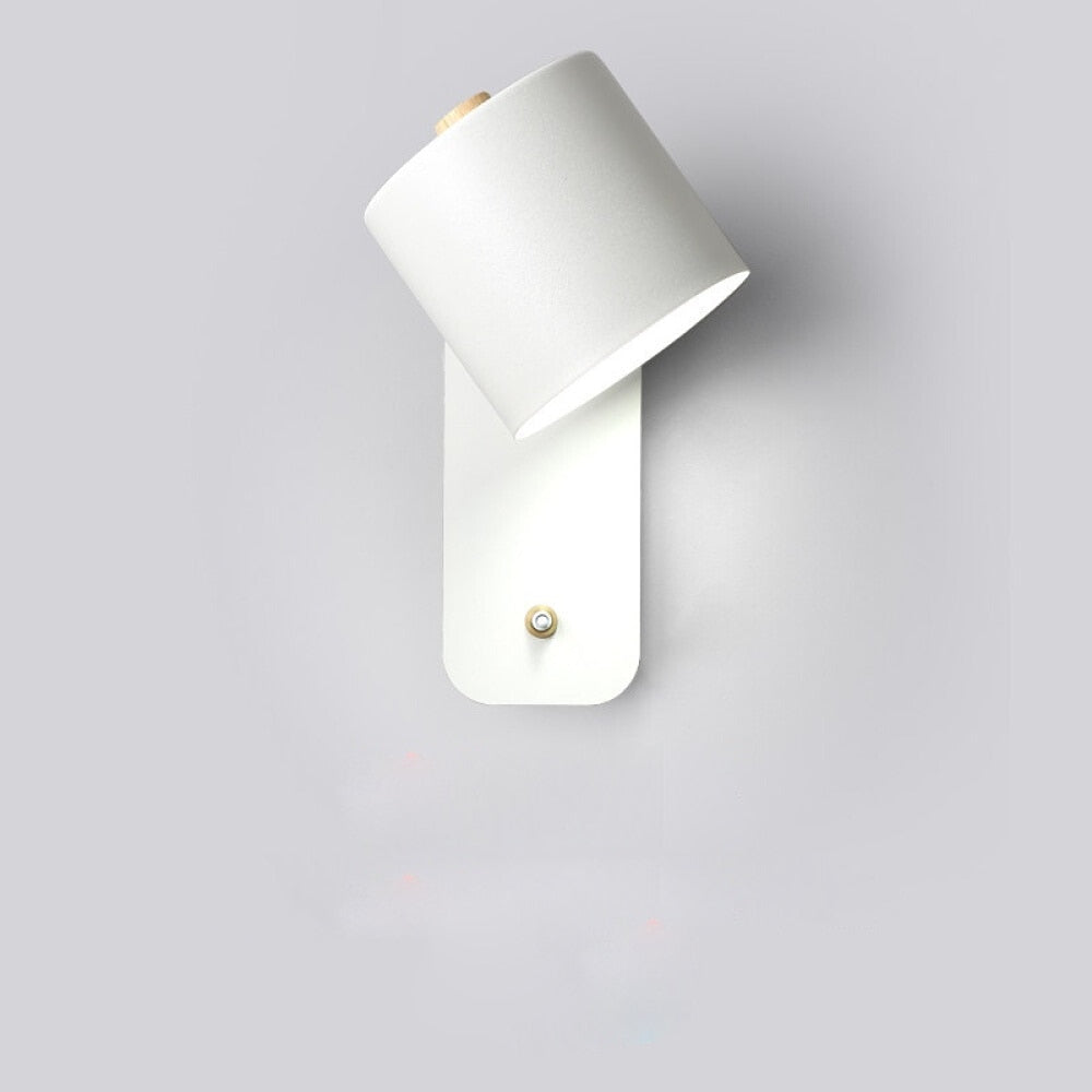 Contemporary LED Mount Light | Versatile Home Lamp