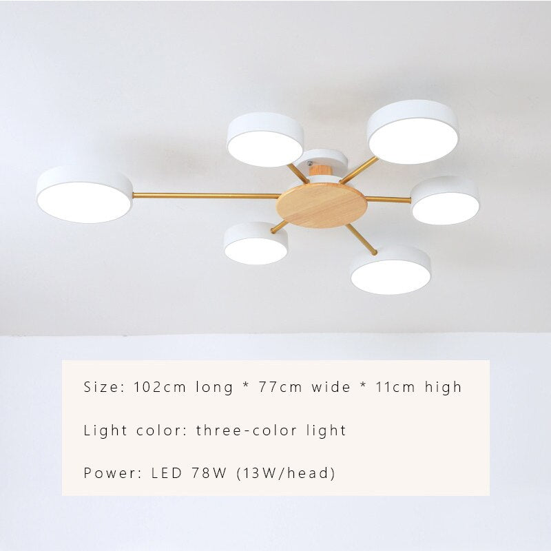 Luxury Nordic LED Ceiling Light