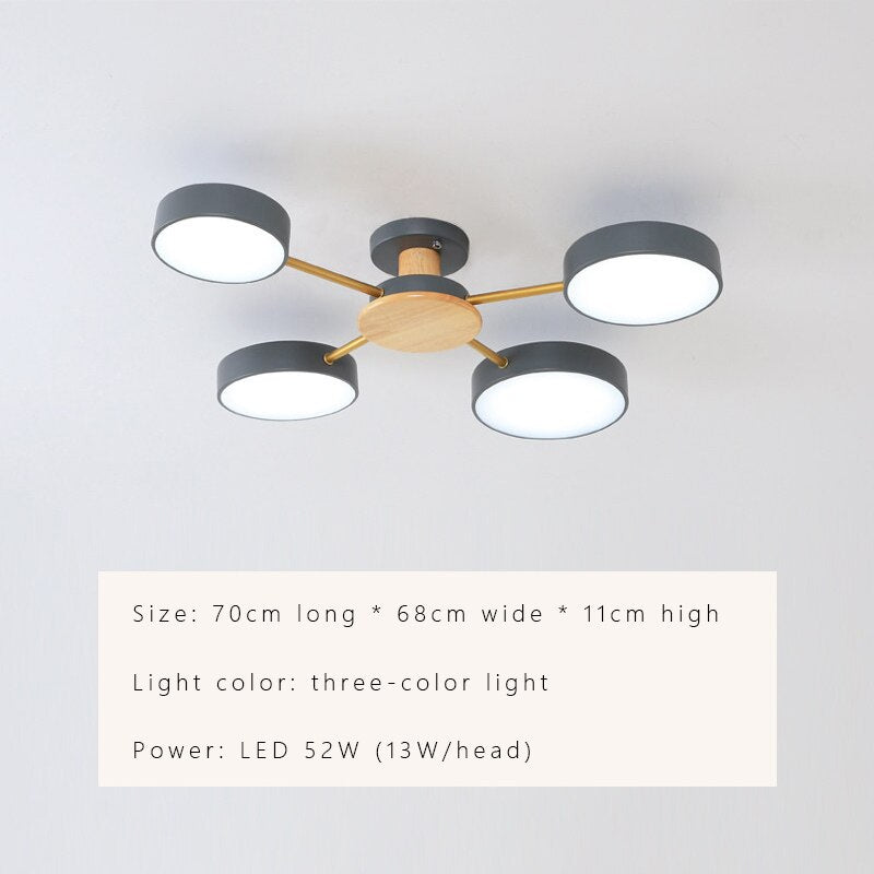 Luxury Nordic LED Ceiling Light