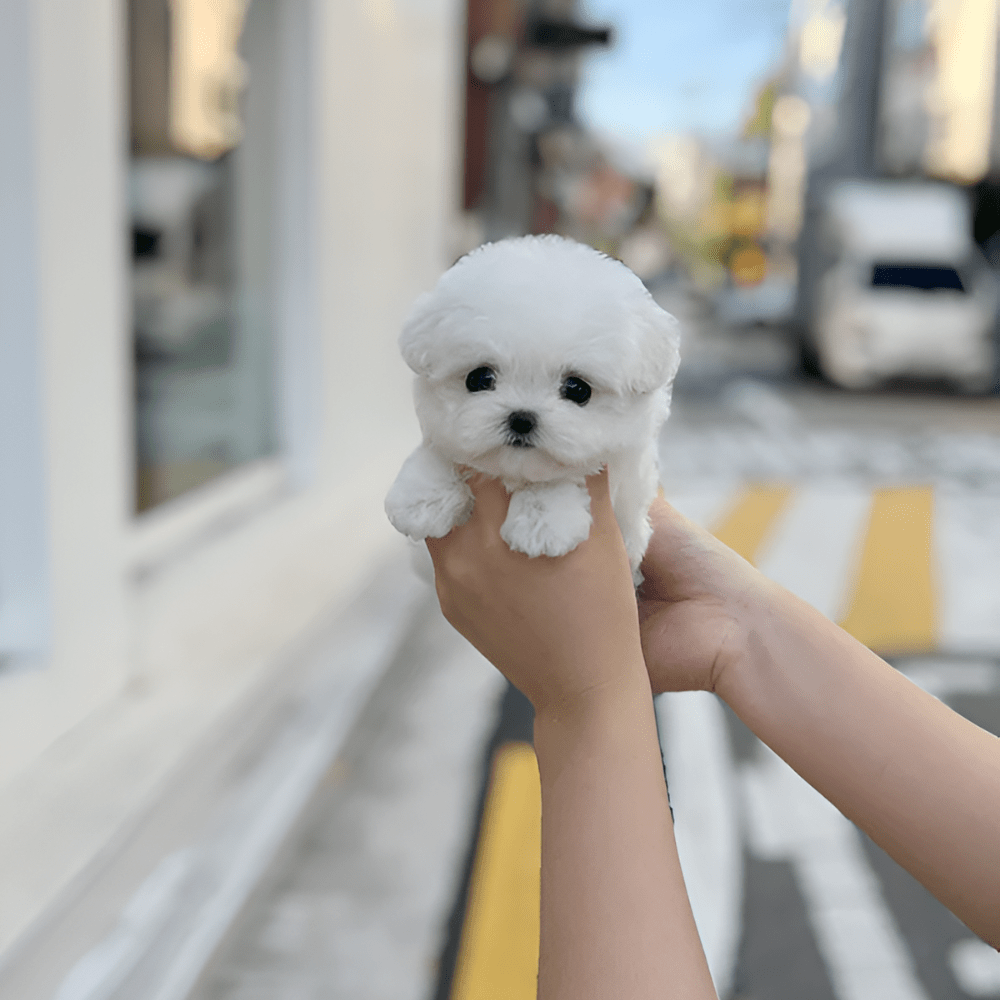Fun Electronic Pet Dog Toy with Realistic Actions