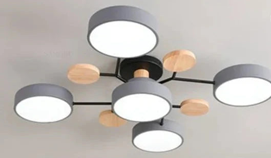 Slim LED Ceiling Light Fixture for Indoor Use