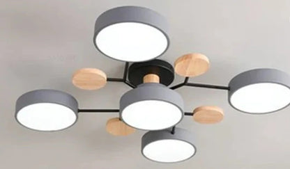 Slim LED Ceiling Light Fixture for Indoor Use