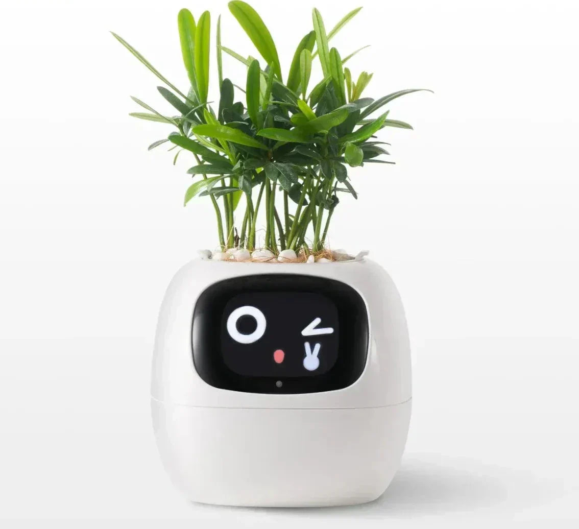 Intelligent Self Watering Planter With Sensors