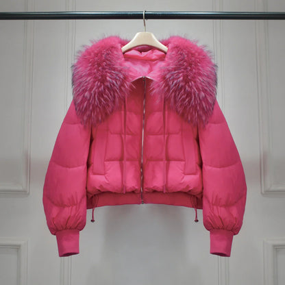 Warm Lightweight Women's DownFill Jacket