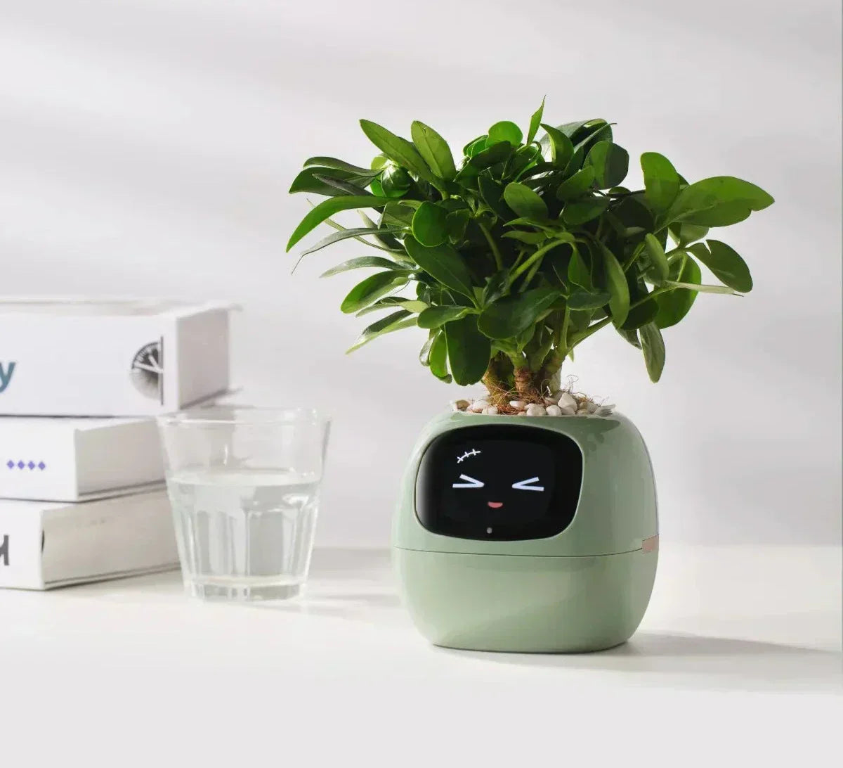 Intelligent Self Watering Planter With Sensors