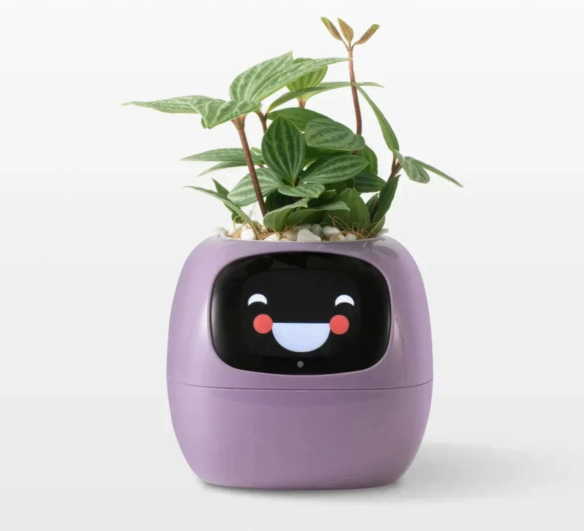 Intelligent Self Watering Planter With Sensors