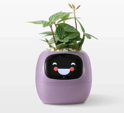 Intelligent Self Watering Planter With Sensors