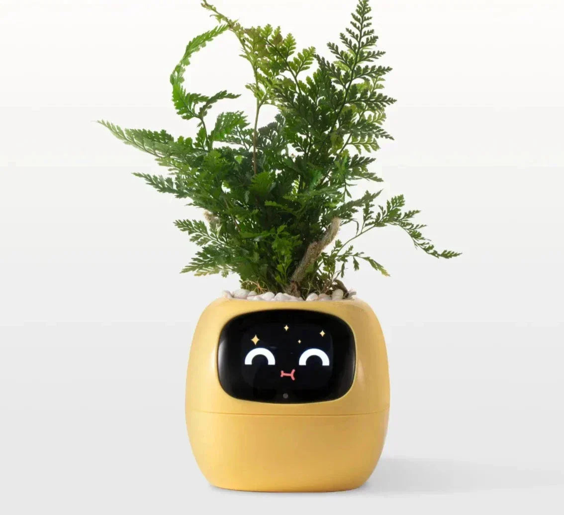 Intelligent Self Watering Planter With Sensors