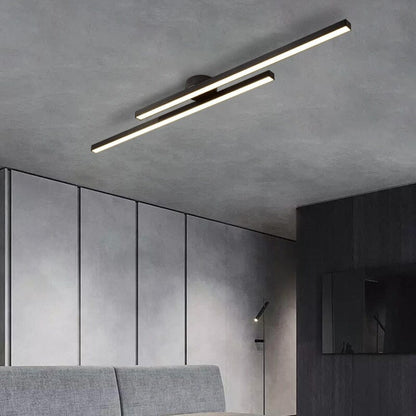 Elegant Overhead Light Fixture