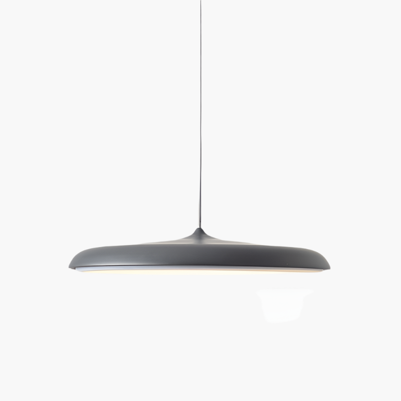 Simple Modern LED Pendant Ceiling Light