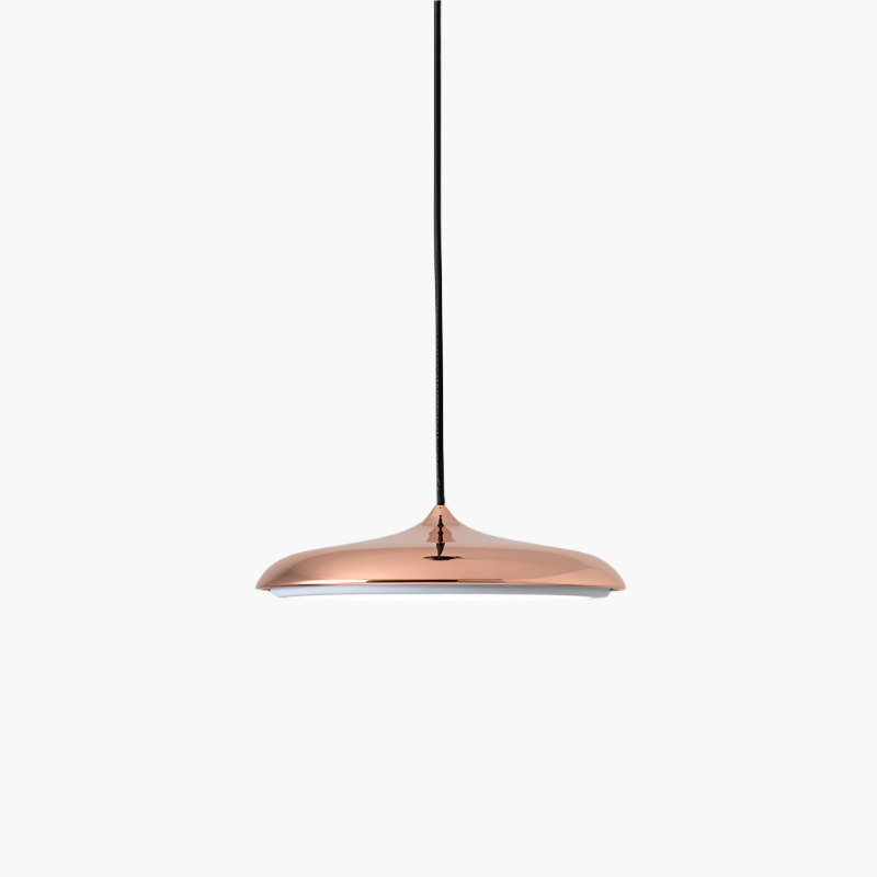 Simple Modern LED Pendant Ceiling Light