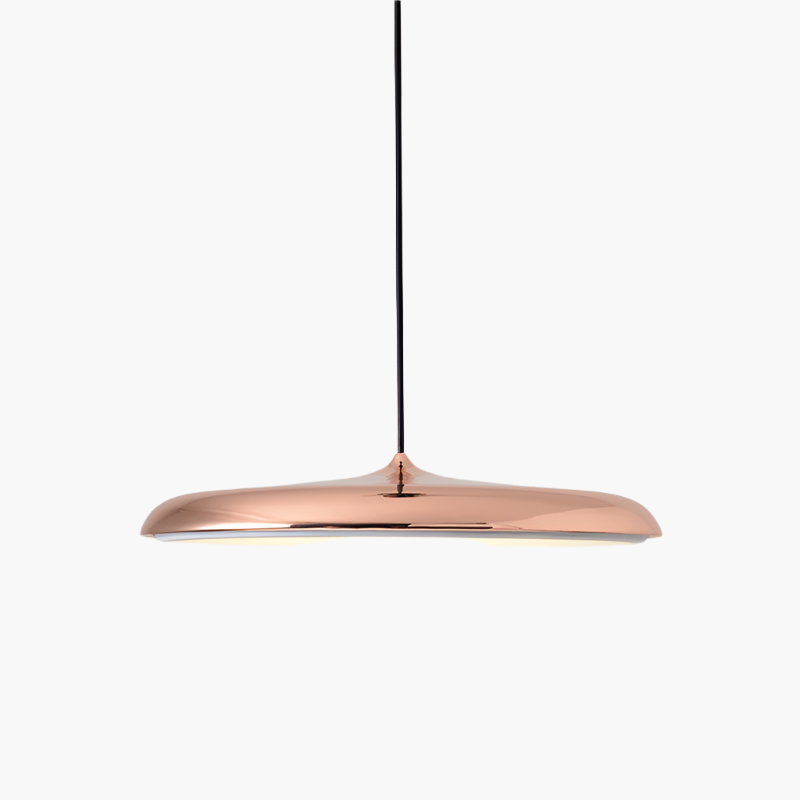 Simple LED Hanging Light Modern Ceiling Lamp
