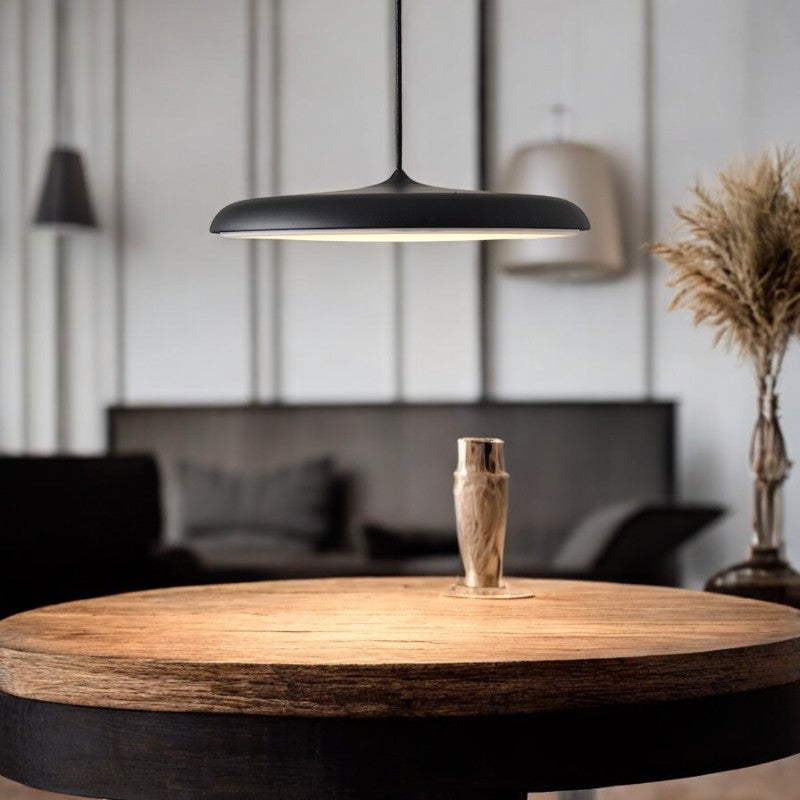Simple LED Hanging Light Modern Ceiling Lamp