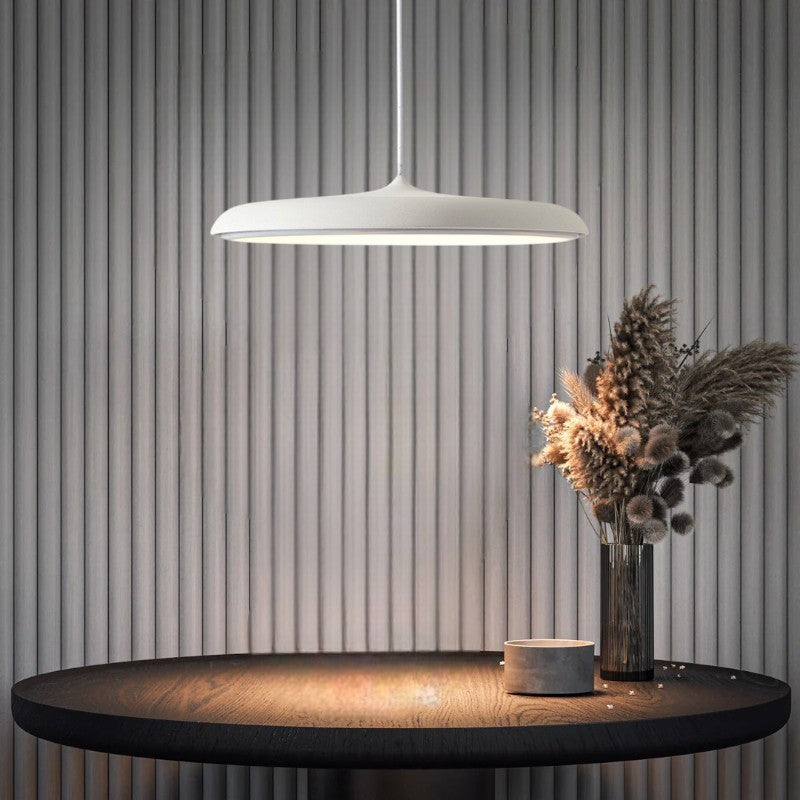Simple Modern LED Pendant Ceiling Light