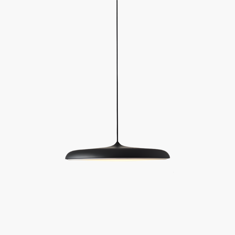 Simple LED Hanging Light Modern Ceiling Lamp