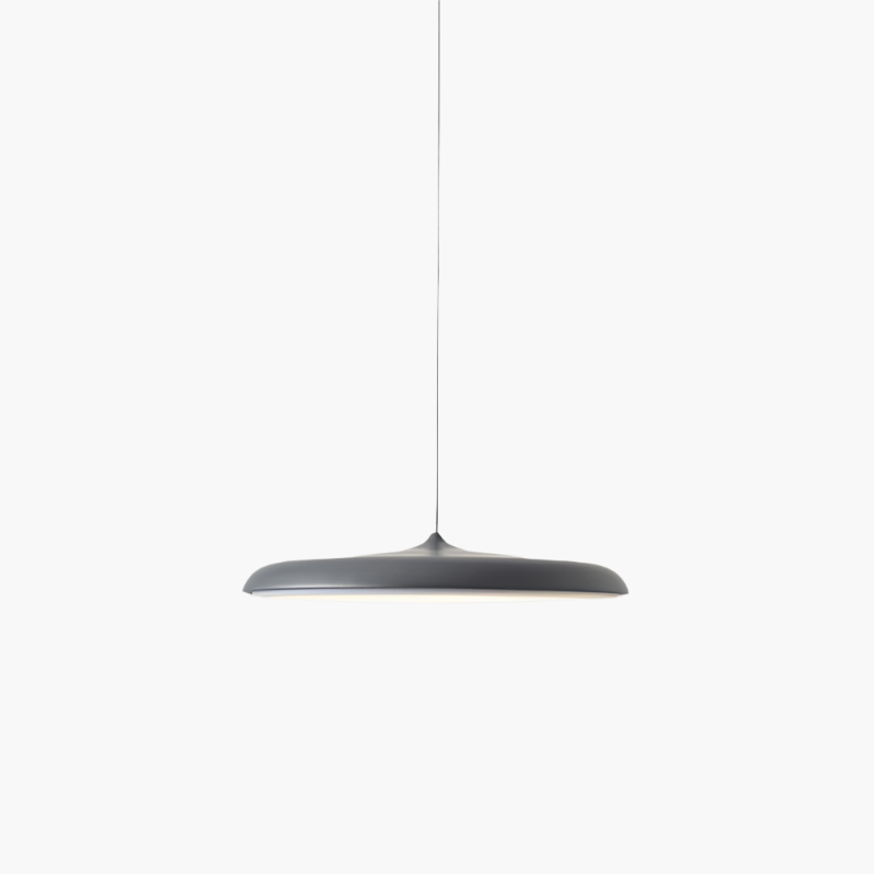 Simple Modern LED Pendant Ceiling Light