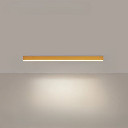 Simple Chic LED Pendant Light For Home