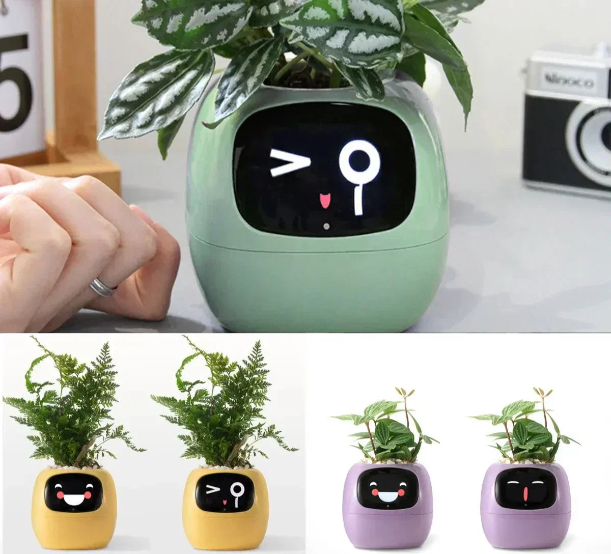 Intelligent Self Watering Planter With Sensors - VogeLuxe