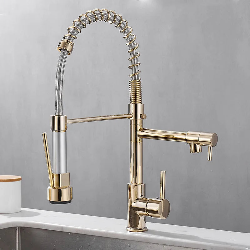 Luxury 2 Handle Kitchen Faucet In Black Gold Finish - VogeLuxe