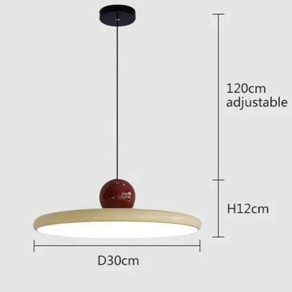 Elegant Drop Pendant Light Fixture