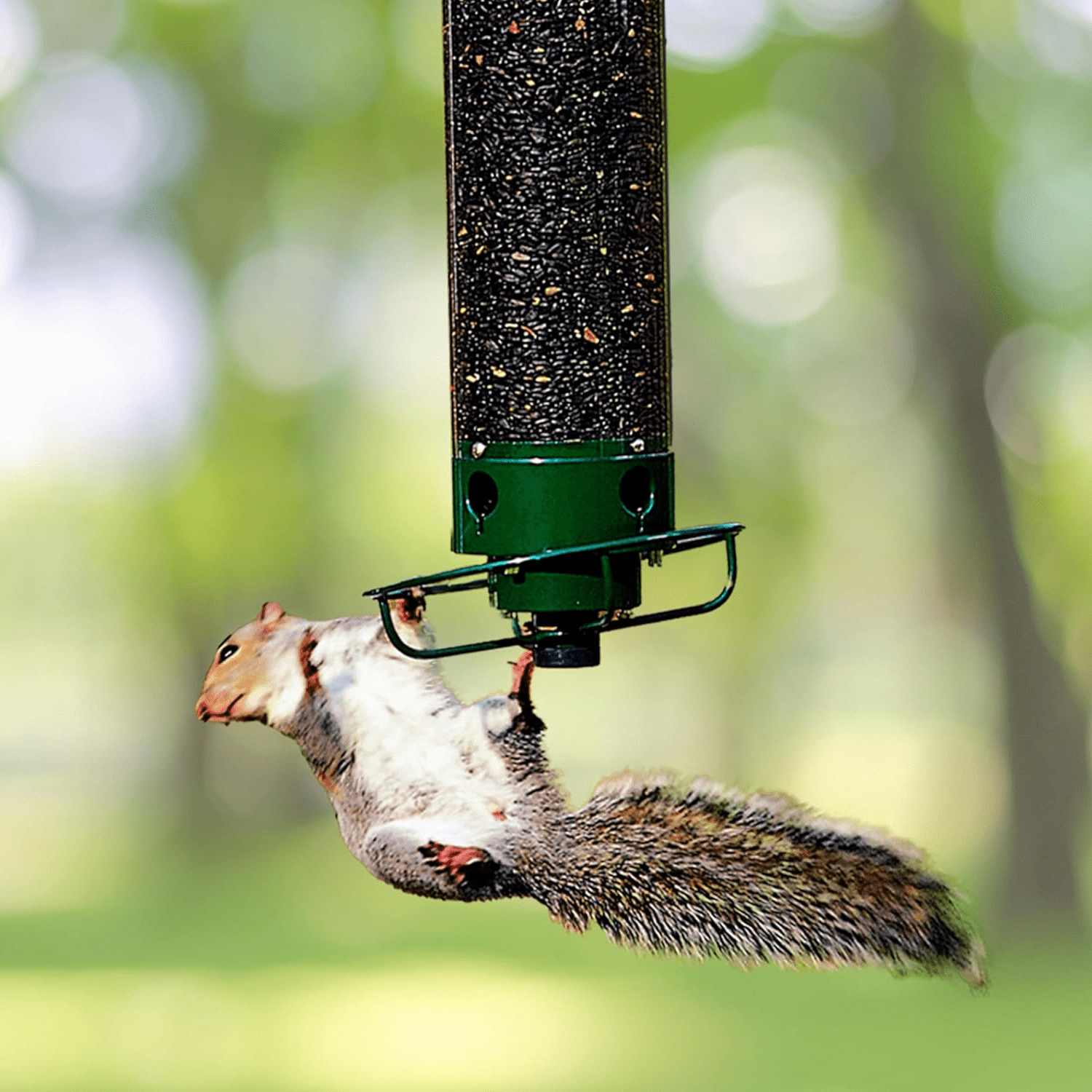 Wild Bird Feeder with Multiple Feeders for Garden Birds - VogeLuxe