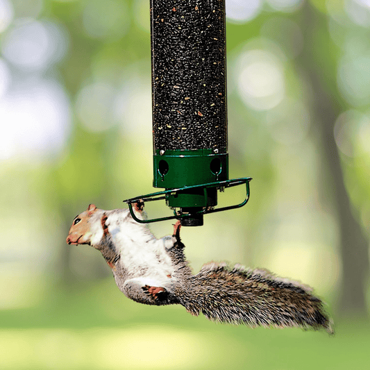 Wild Bird Feeder with Multiple Feeders for Garden Birds - VogeLuxe