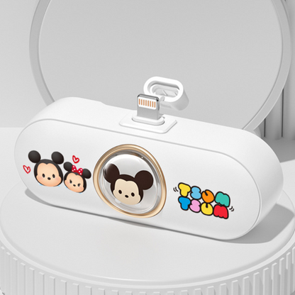 Portable Travel Charger