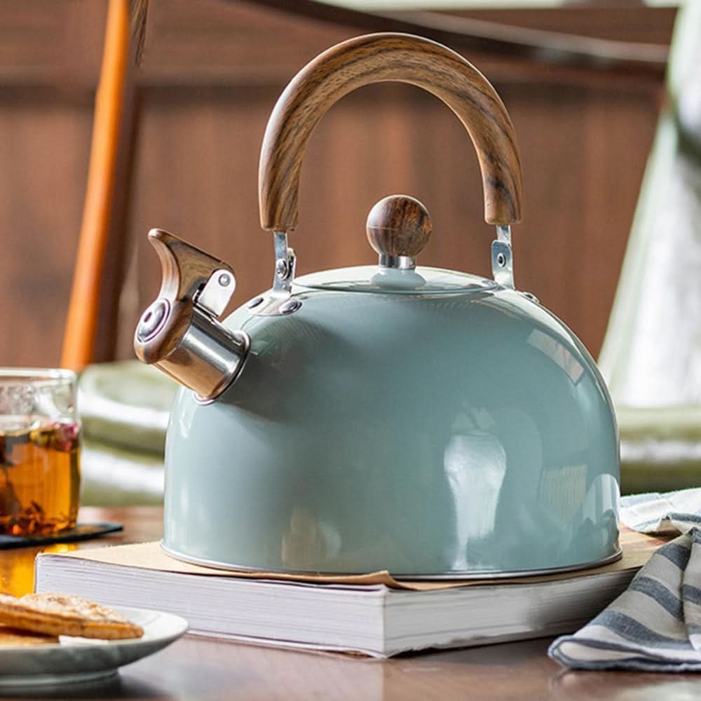 Fast Boiling Stainless Steel Tea Kettle - VogeLuxe